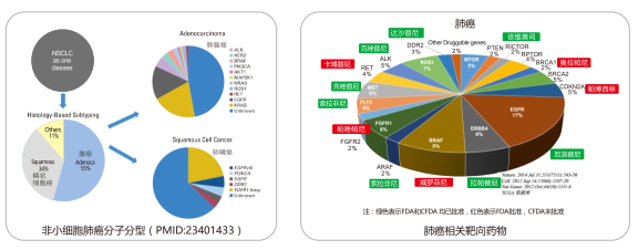 PP电子5金狮·(中国区)游戏官方网站