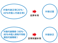 PP电子5金狮·(中国区)游戏官方网站