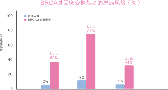 PP电子5金狮·(中国区)游戏官方网站