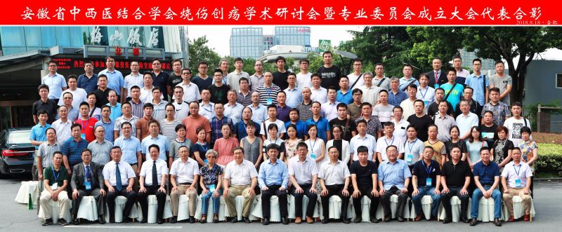 菲彩国际集团_安徽省中西医连系学会烧伤创疡学术钻研会暨专业委员会建设