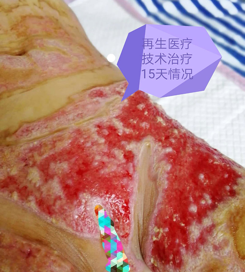 菲彩国际·(中国区)有限公司官网