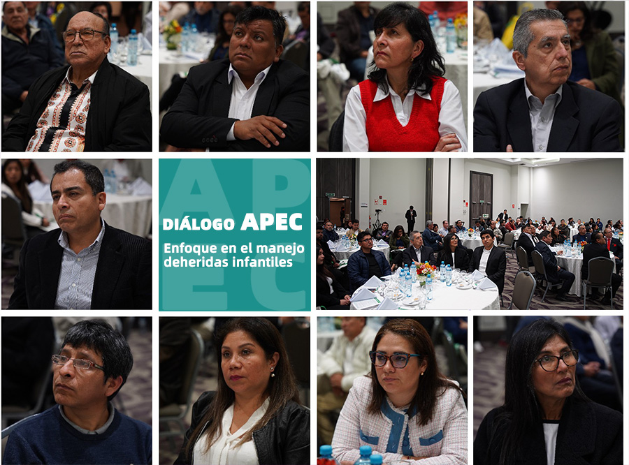 菲彩国际集团_菲彩国际APEC2024行动：拉丁美洲论坛乐成举行，，深化区域医疗相助与生长
