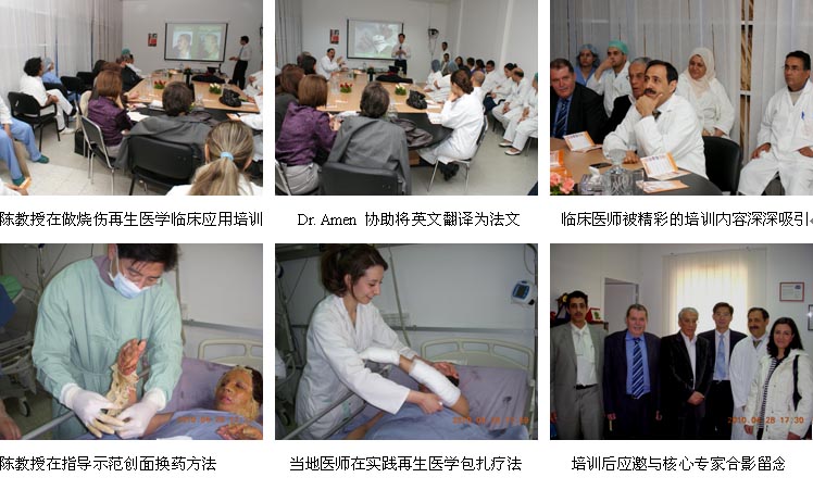 菲彩国际集团_首次非洲的再生医学学术交流与手艺培训
