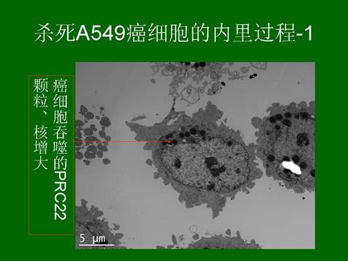 菲彩国际·(中国区)有限公司官网