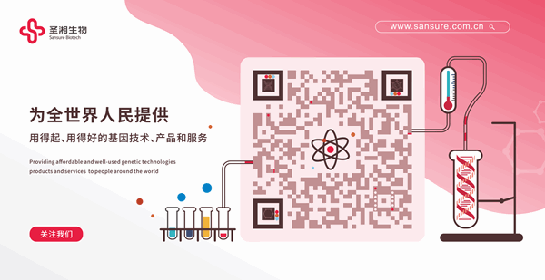 PP电子5金狮·(中国区)游戏官方网站