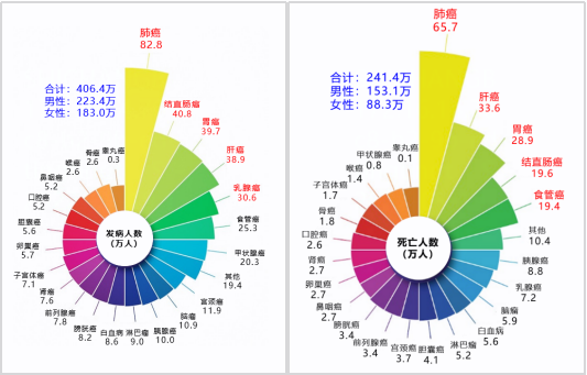 PP电子5金狮·(中国区)游戏官方网站