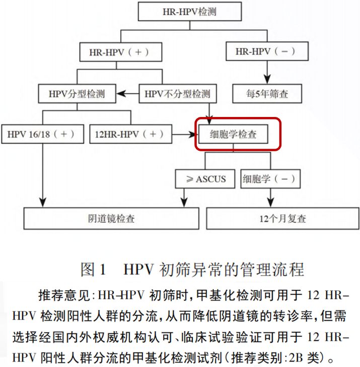 PP电子5金狮·(中国区)游戏官方网站