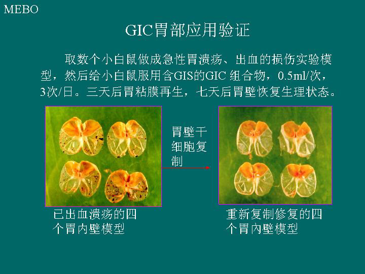 菲彩国际·(中国区)有限公司官网