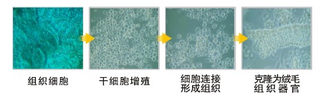 菲彩国际·(中国区)有限公司官网