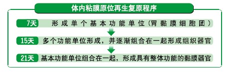 菲彩国际·(中国区)有限公司官网