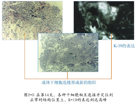 菲彩国际·(中国区)有限公司官网
