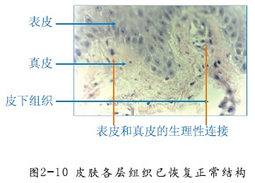 菲彩国际·(中国区)有限公司官网