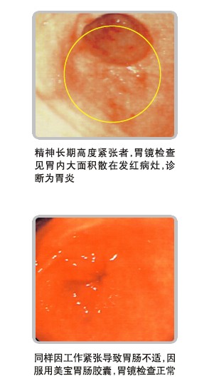 菲彩国际·(中国区)有限公司官网