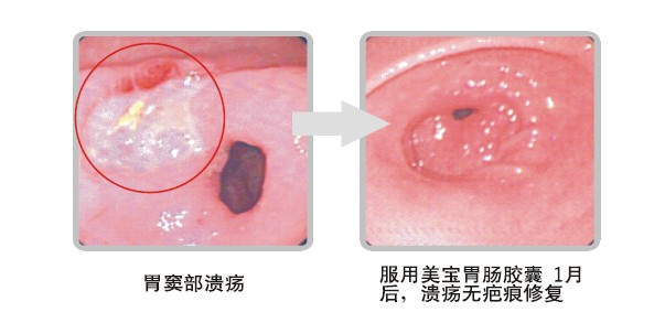 菲彩国际·(中国区)有限公司官网