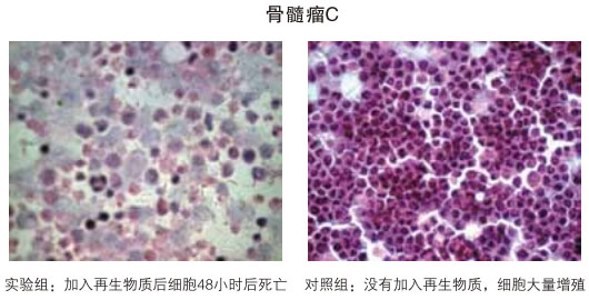 菲彩国际集团_八、再生抗癌的研究