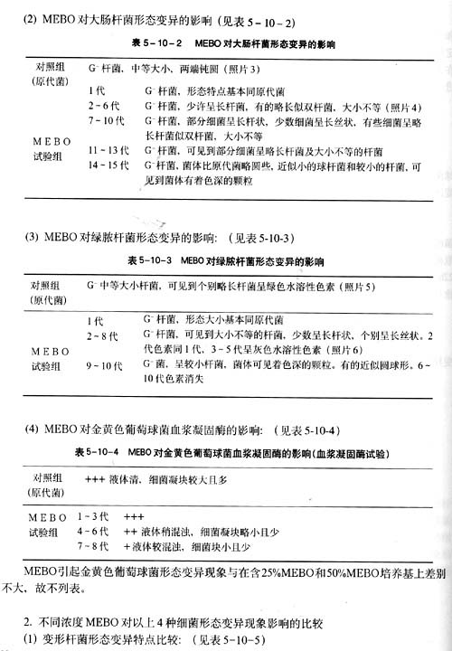 菲彩国际集团_第十节 烧伤湿性医疗手艺MEBO的抗菌作用实验研究（续）