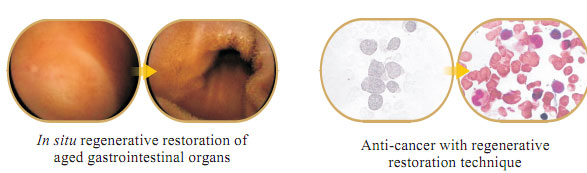 菲彩国际集团_Part One: In situ Skin Regenerative Restoration & Rejuvenati