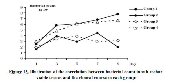 菲彩国际集团_Comparative study of the effects of Moist-Exposed Burn Ointm