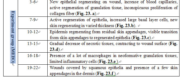 菲彩国际集团_Exploration of Pathological Changes and Mechanism of Experim