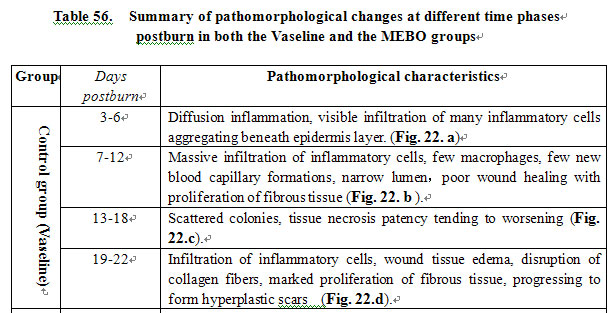 菲彩国际集团_Exploration of Pathological Changes and Mechanism of Experim