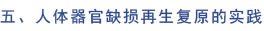 菲彩国际·(中国区)有限公司官网